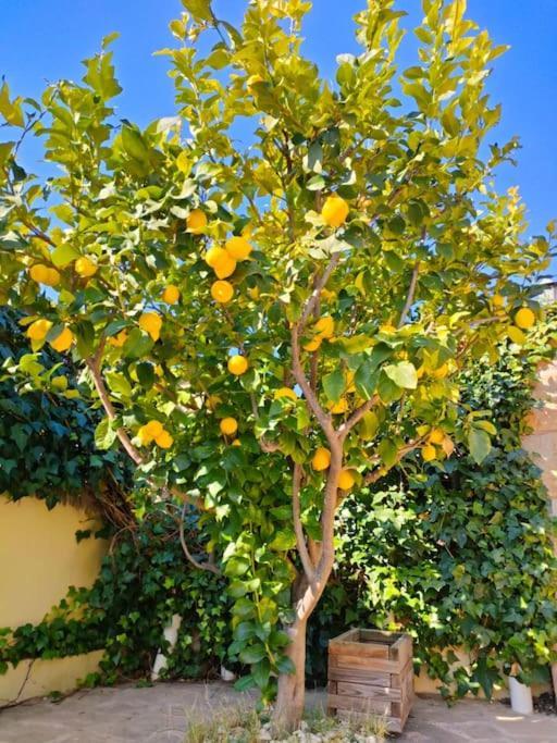 הוילה Collbató Casa, Parque Natural De Montserrat Cerca Barcelona מראה חיצוני תמונה